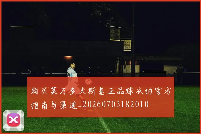 购买莱万多夫斯基正品球衣的官方指南与渠道_20260703182010