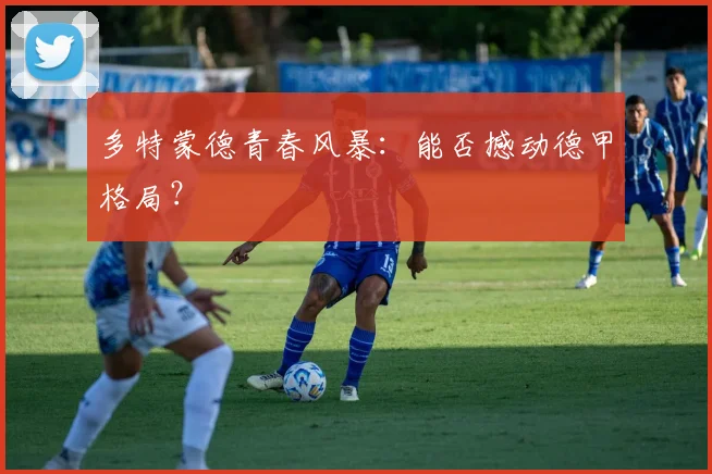 多特蒙德青春风暴:能否撼动德甲格局?
